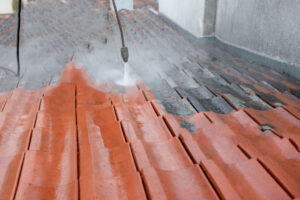 Read more about the article Residential Pressure Washing in Mumbai – Siding, Eavestroughs & More