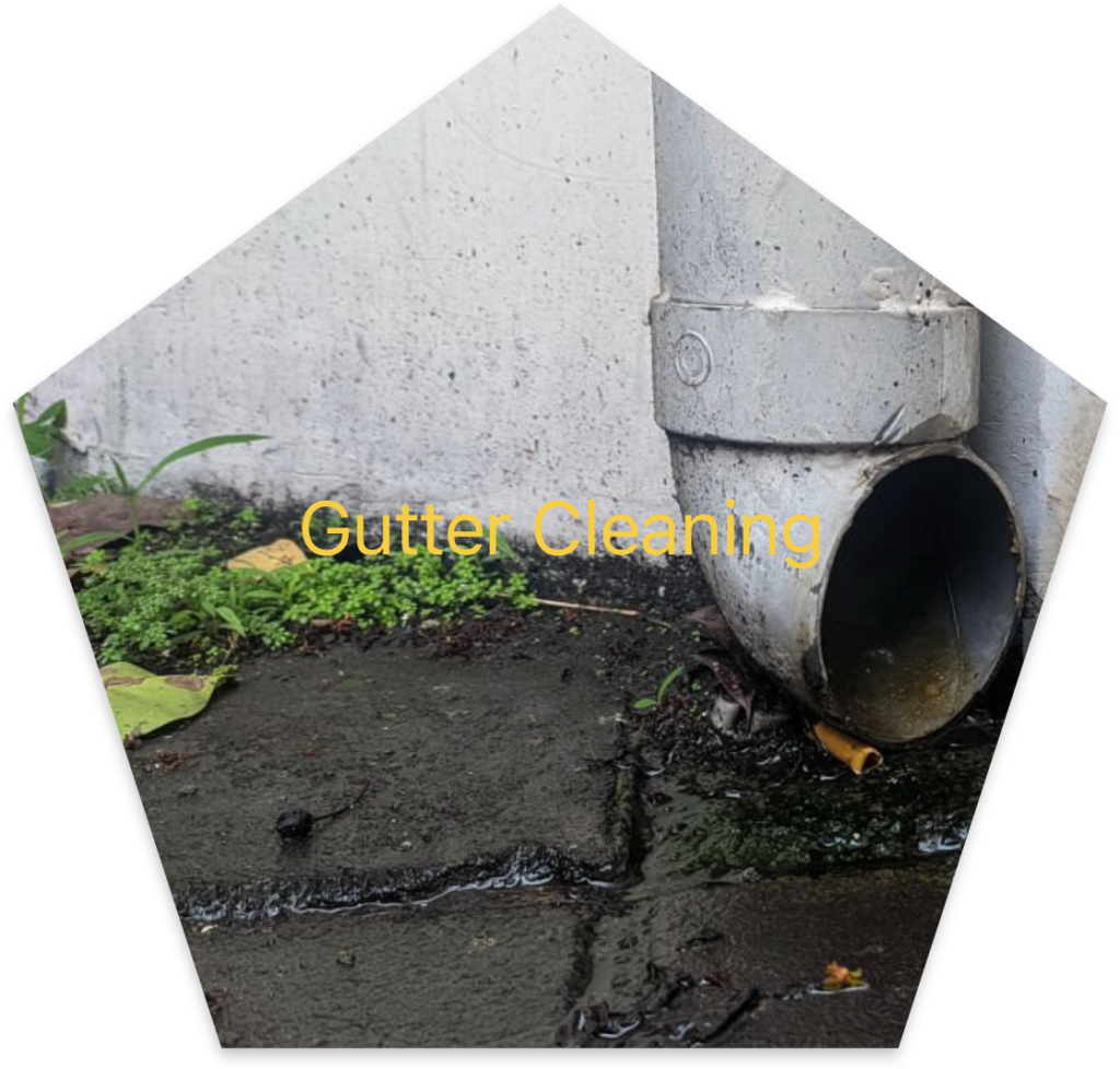 Gutter Cleaning