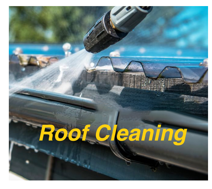 Roof Cleaning